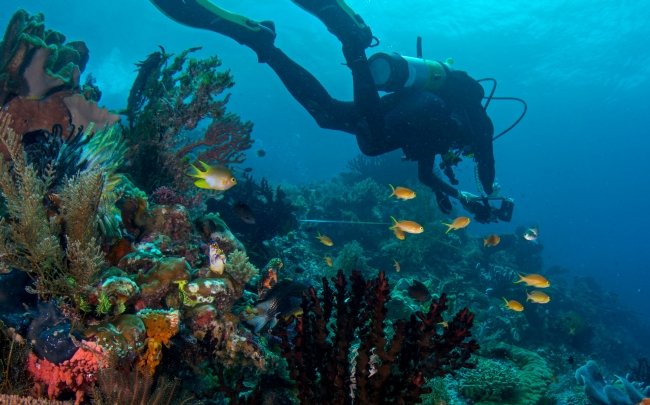 Citizen Science and New Technologies to Navigate Ocean Data Challenges and Opportunities 